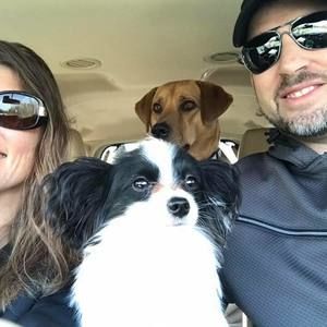 Meet your Posher, Steven